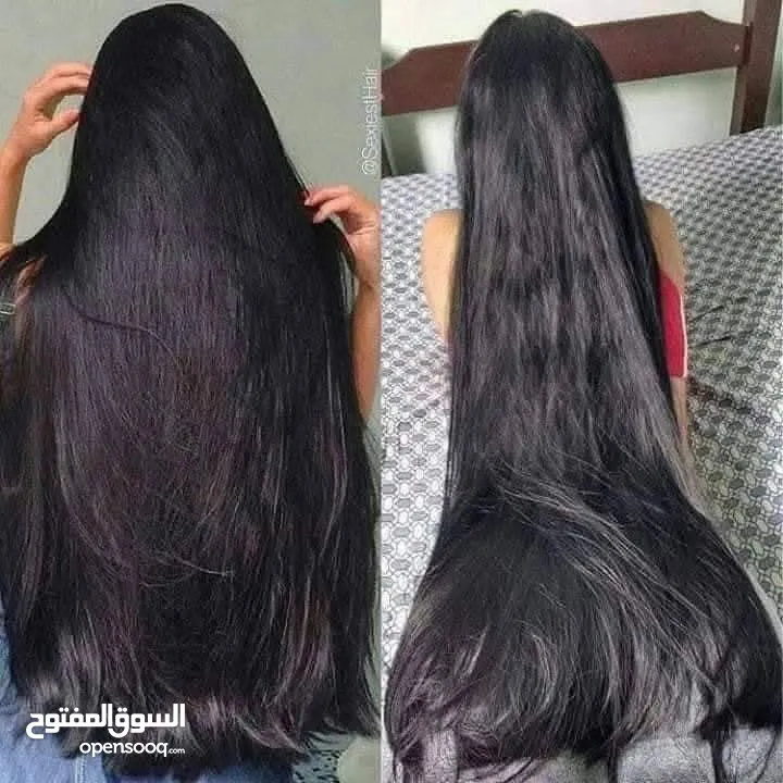 زيت الساسو الهندي لنمو الشعر و تعبئة الفراغات و معالجة الثعلبة و زيادة كثافة الشعر