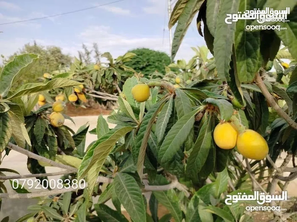 مزرعة لقطة مميزة مع بيت طابقين مطلة ومرتفعة