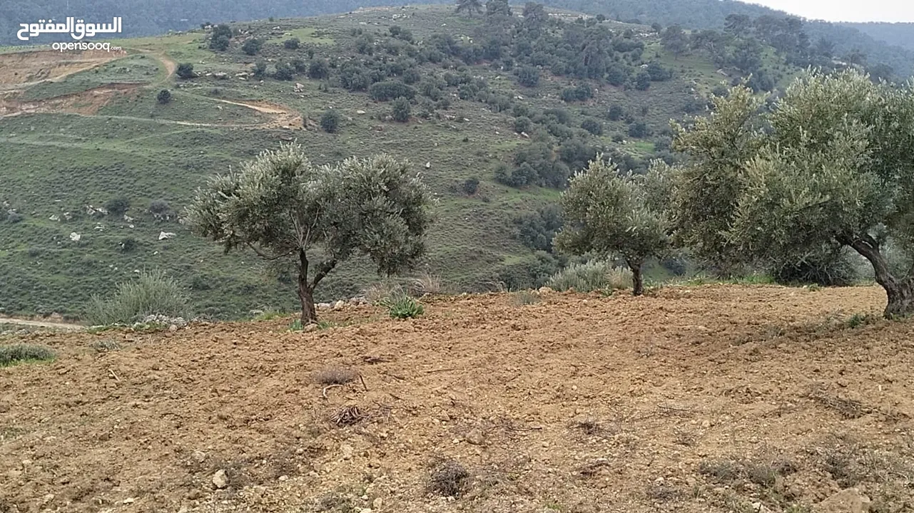 أرض مميزة جداً لعمل شاليه استثماري أو مزرعة خاصة أو مزرعة تجارية يوجد بها قناة ماء من المالك مباشرة