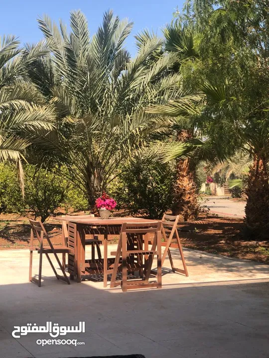 مزرعة في الشونة الجنوبية / غور نمرين - ref: 12165