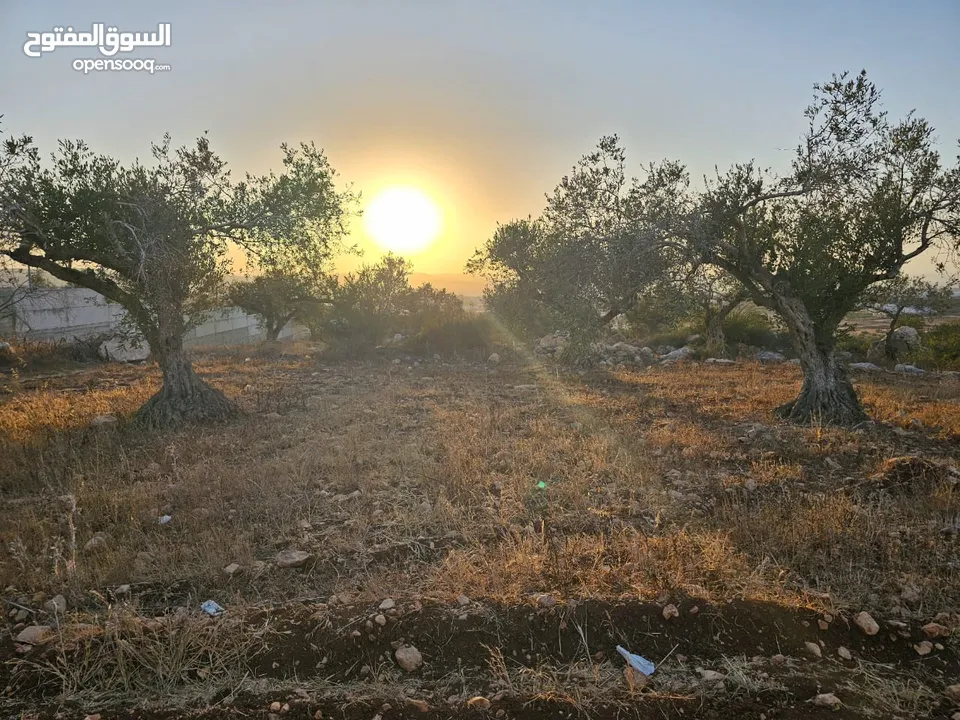 فرصة استثمارية لا تعوض . ارض مميزة للبيع في بيت قاد