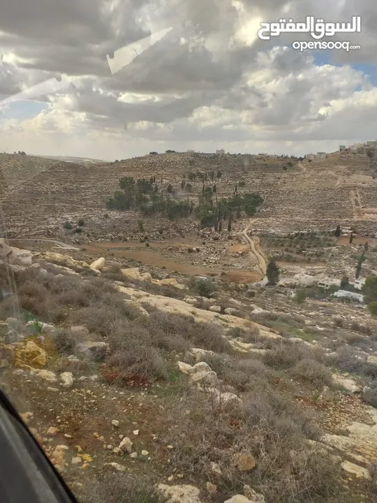 دورا جبل ابو عشره