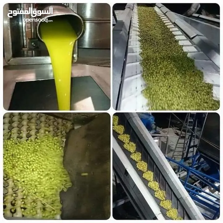 زيت بجوده مكفول