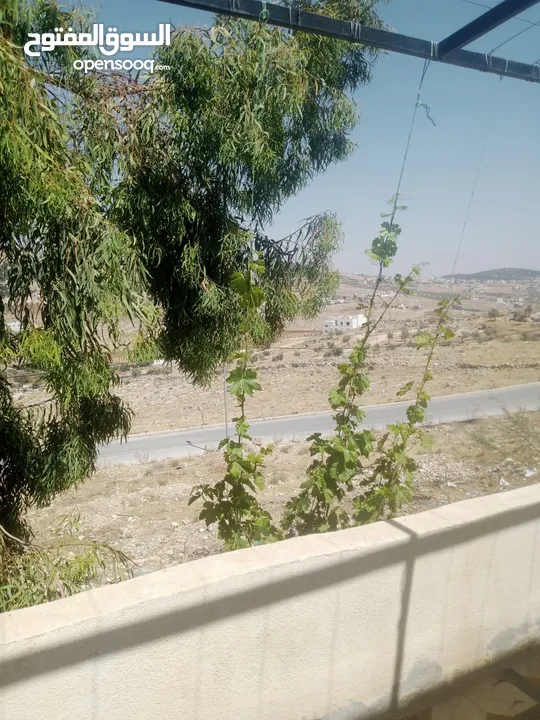 منزل مستقل جرش اسكان عجرمه  3غرف نوم 2حمام  صاله مع مطبخ امريكي  بلكونه  حديقه مساحه الارض 305