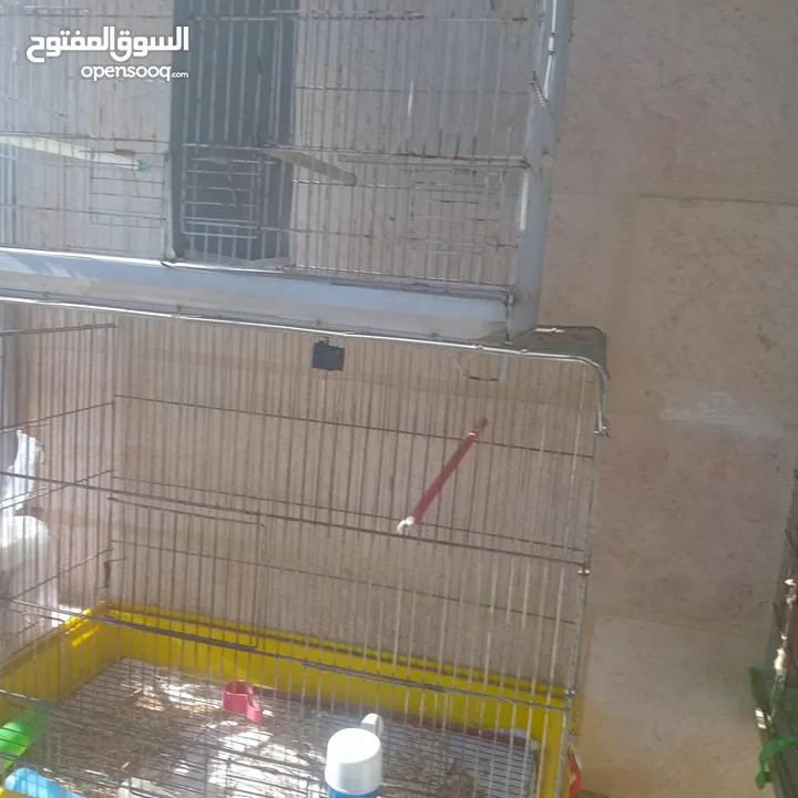قفاص بحال الوكاله لتواصل الزرقاء