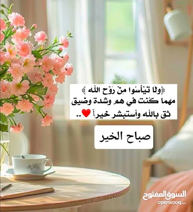 مطلوب شريك ممول