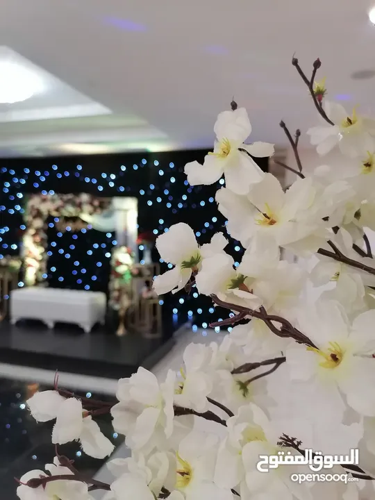 كوشة دائرية بتنسيق ورد مميز مع كامل اكسسوراتها