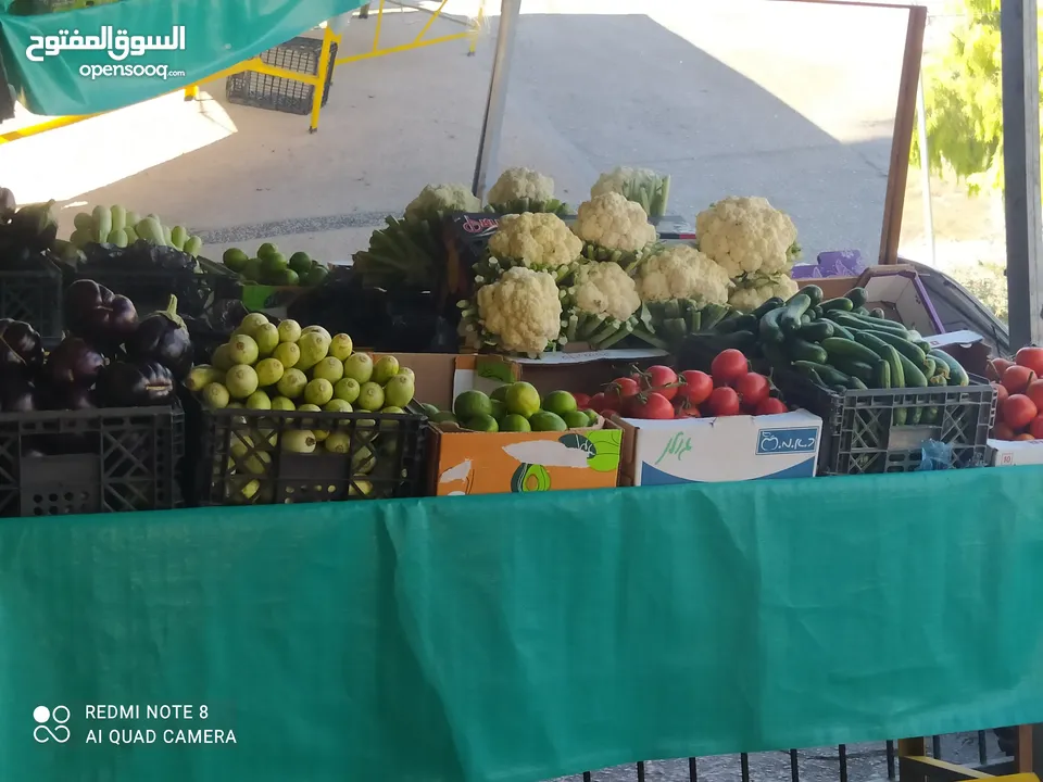 استاندات الخضرة  للبيع