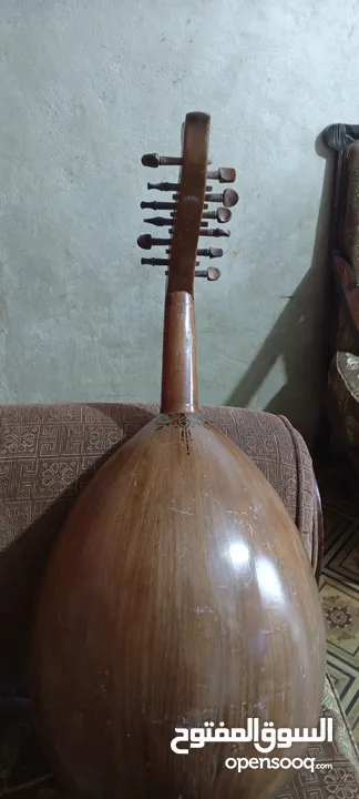 عود  خشب جوز