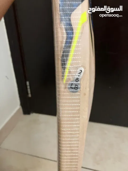 Ca Plus 3000 cricket bat