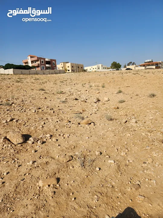 قطعة ارض سكنية في ارينبة الغربية مخدومة بالكامل بمقربة من مدرسة بسعر مغري للبيع