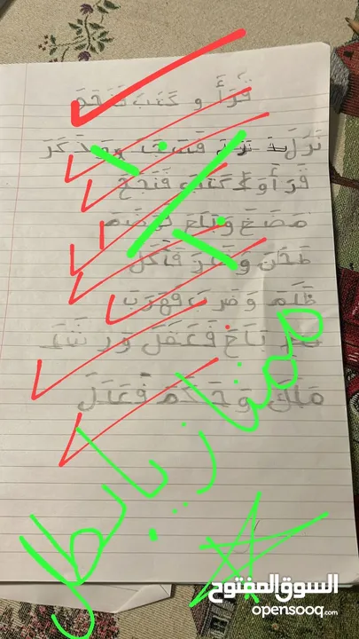 تدريس مادة اللغة العربية ( ابتدائي) خبره خمس سنوات في مجال التأسيس والصفوف الأولية