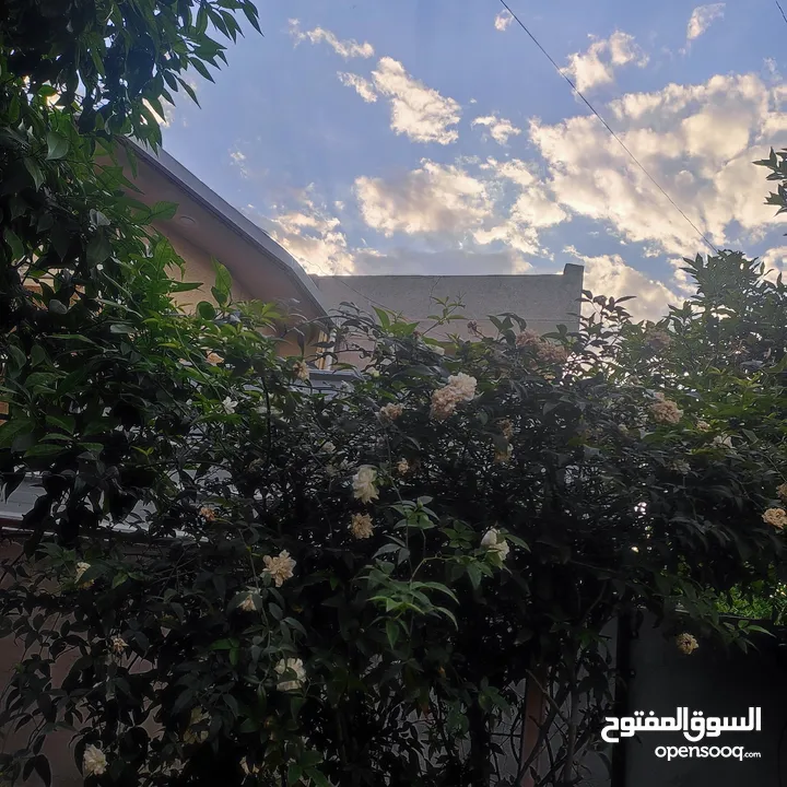 بيت في اليرموك مساحة 200 طابو ، سند مستقل كهرباء متنگطع 24ساعة