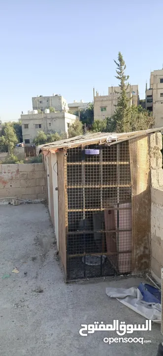 خشه حمام ثلاث ابواب  الطول 4متر العرض متر وثلاثين العب راكب عليها السقفيه خشب ظهر الفرصه من ورا طوب