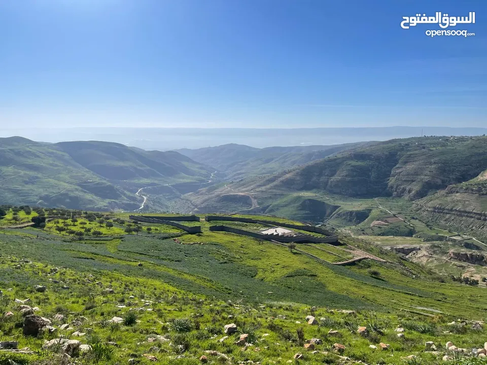3.400 ماحص بعد الميده