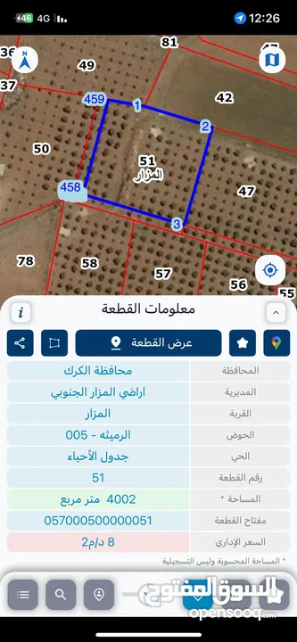 ارض زراعيه مشجره باشجأر الزيتون المثمره عمرها فوق الثلاثين سنه يوجد بها ابار ماء أرضية عدد اثنين