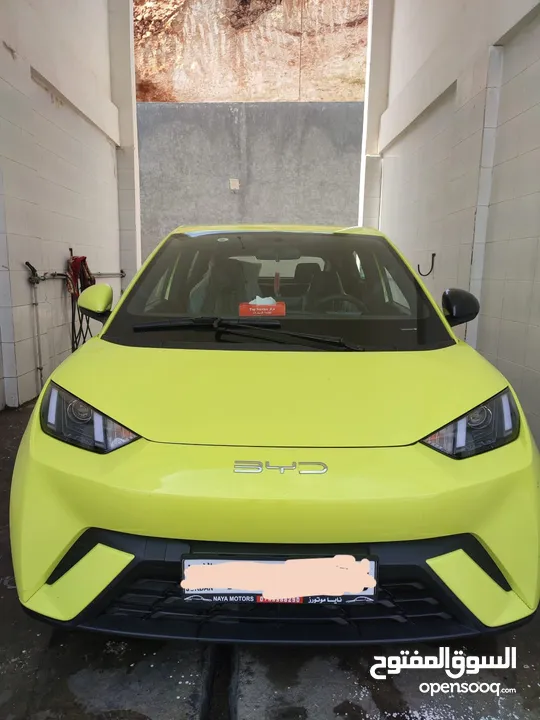 بي واي دي سيجال (2023)