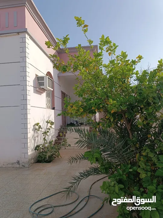 للبيع منزل مستقل في حلبان نخل يبعد عن المعبيلة اقل من 5دقايق