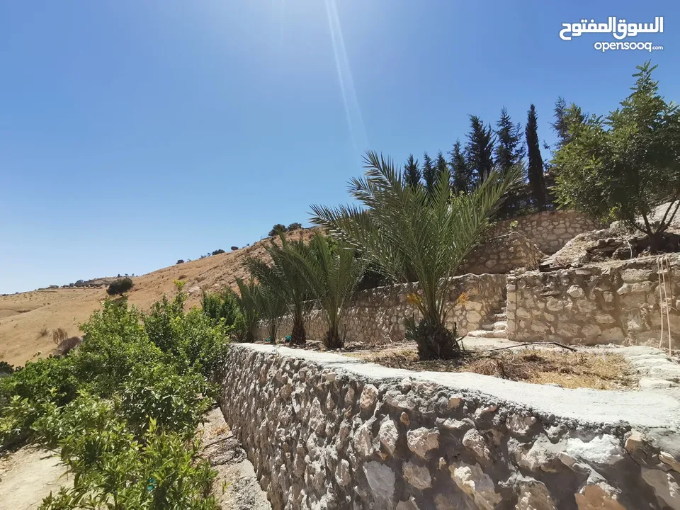 مزرعة مع فيلا ومسبح للبيع او البدل في فلل المسرة - العالوك