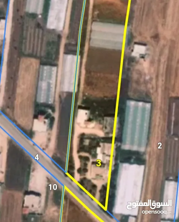 دنم ارض في دير ابو ضعيف