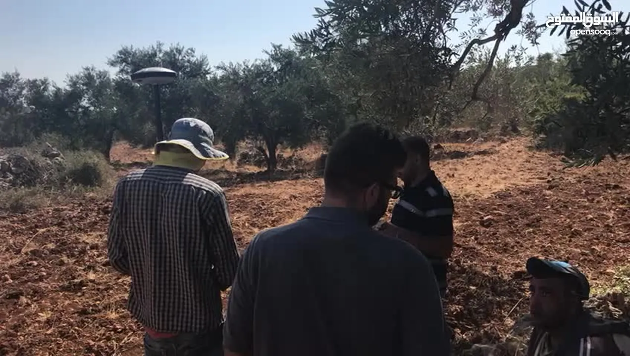 أرض للبيع جميلة ومليئة بأشجار الزيتون