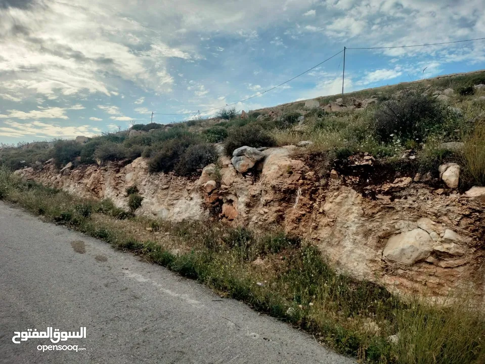 أرض عدة نمر للبيع بمساحات وأسعار مختلفة - بيت امرين - نابلس