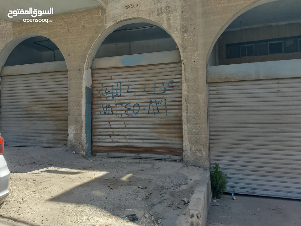 مازن الشيخ ذيب