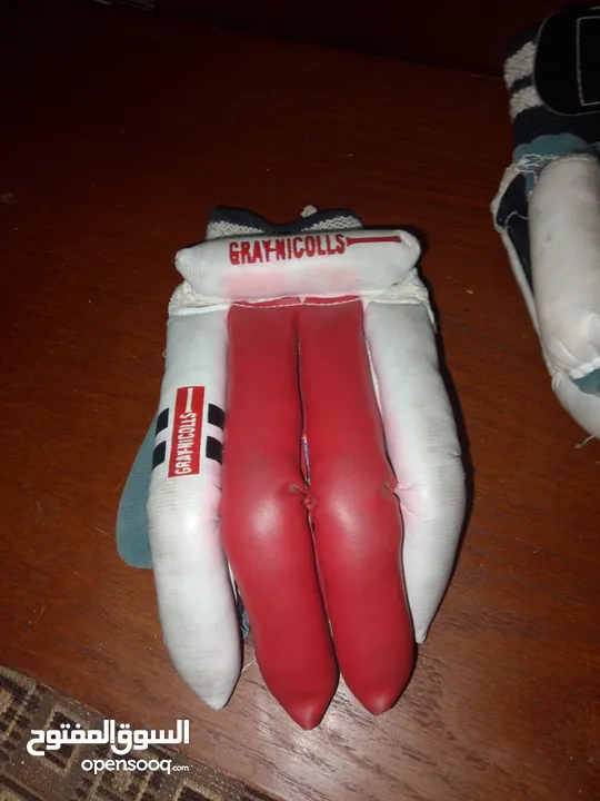 cricket batsman gloves of grey nicolls it is a pair
