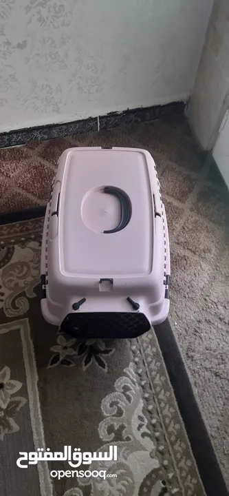 بيت قطط $$