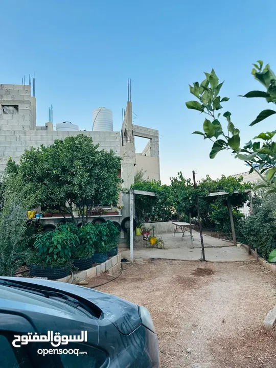 ابونعيم عمر