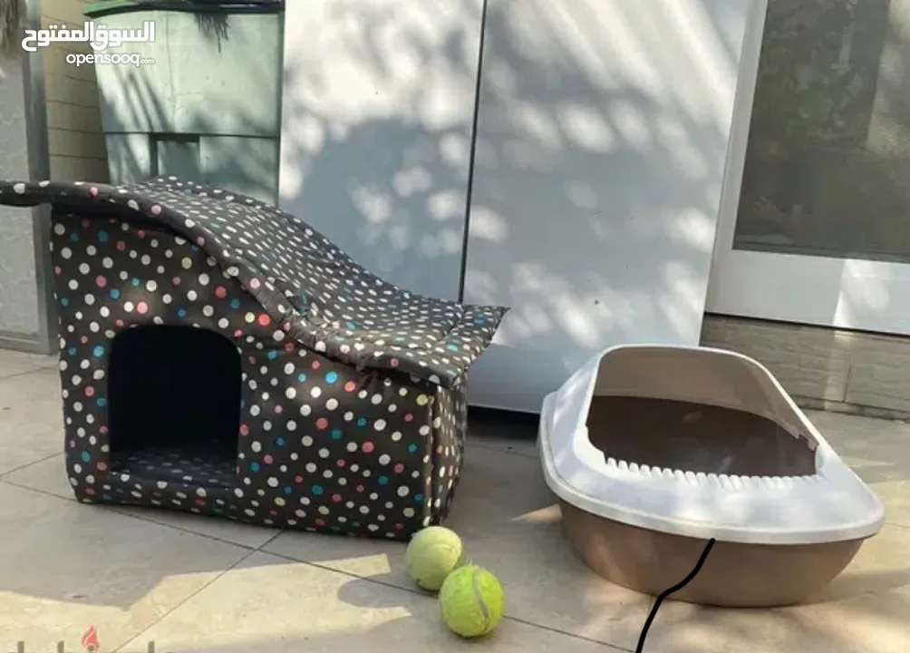 Cat playhouse + FREE litter box + FREE cat house
