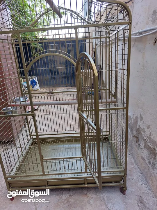 قفص ببغاء كبير يتسع لأكثر من طير مستعمل نظيف