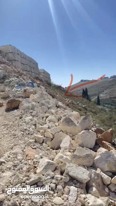 ارض في تل / العمدان