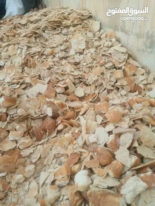 خبز ناشف نضيف