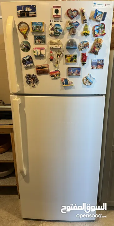Refrigerator with fridge