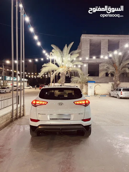 توسان فل الفل مع بانوراما