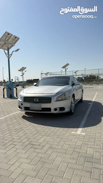 Nissan maxima 2014 very clean