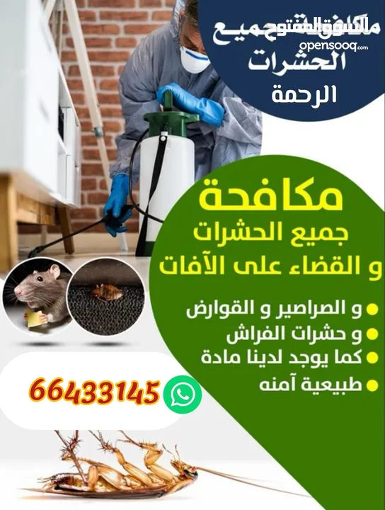 شركة الرحمة لمكافحة الحشرات والقوارض جميع مناطق الكويت خدمة 24 ساعة علي مدار اليوم