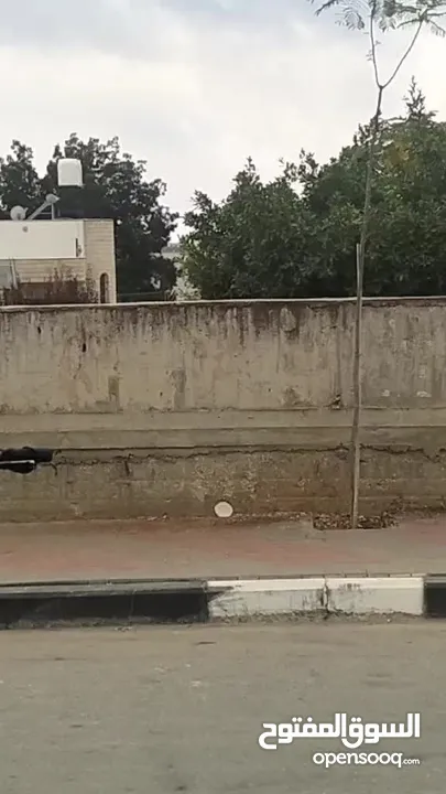 بسكليت كهرباء للبيع في نابلس طحنن نااار