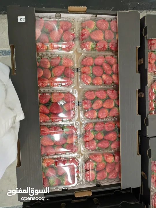 Fresh and delicious Strawberries.