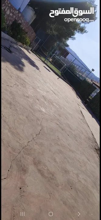 مزرعة زهرة اللوتس