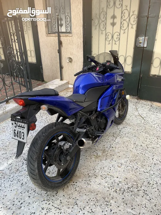 ninja 300 19500k