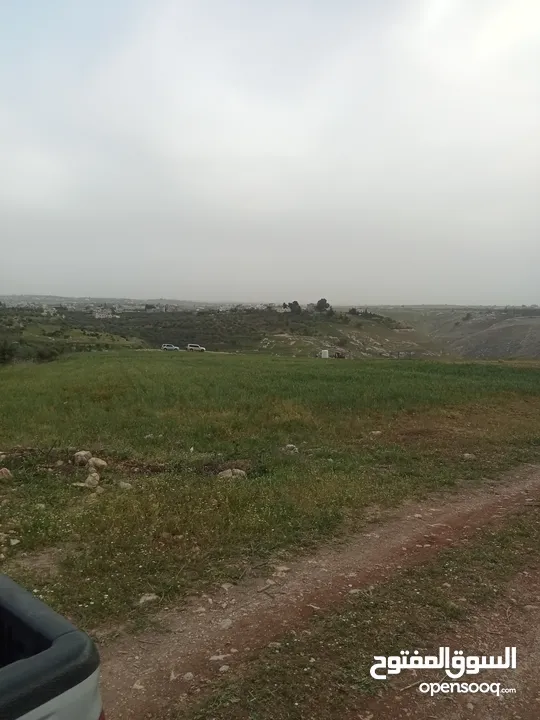ارض سكنيه قرب مثلث حور فوعرا للبيع بسعر مغري