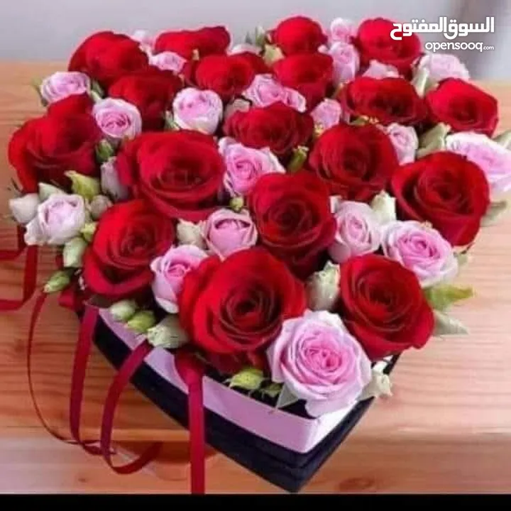 بدي صيصان لآحم بهدف التربيه في المنزل