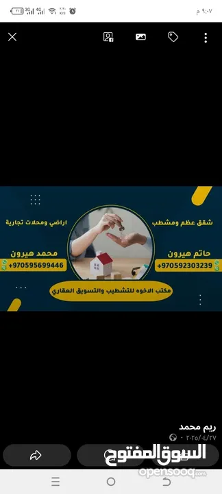 حاتم هيرون