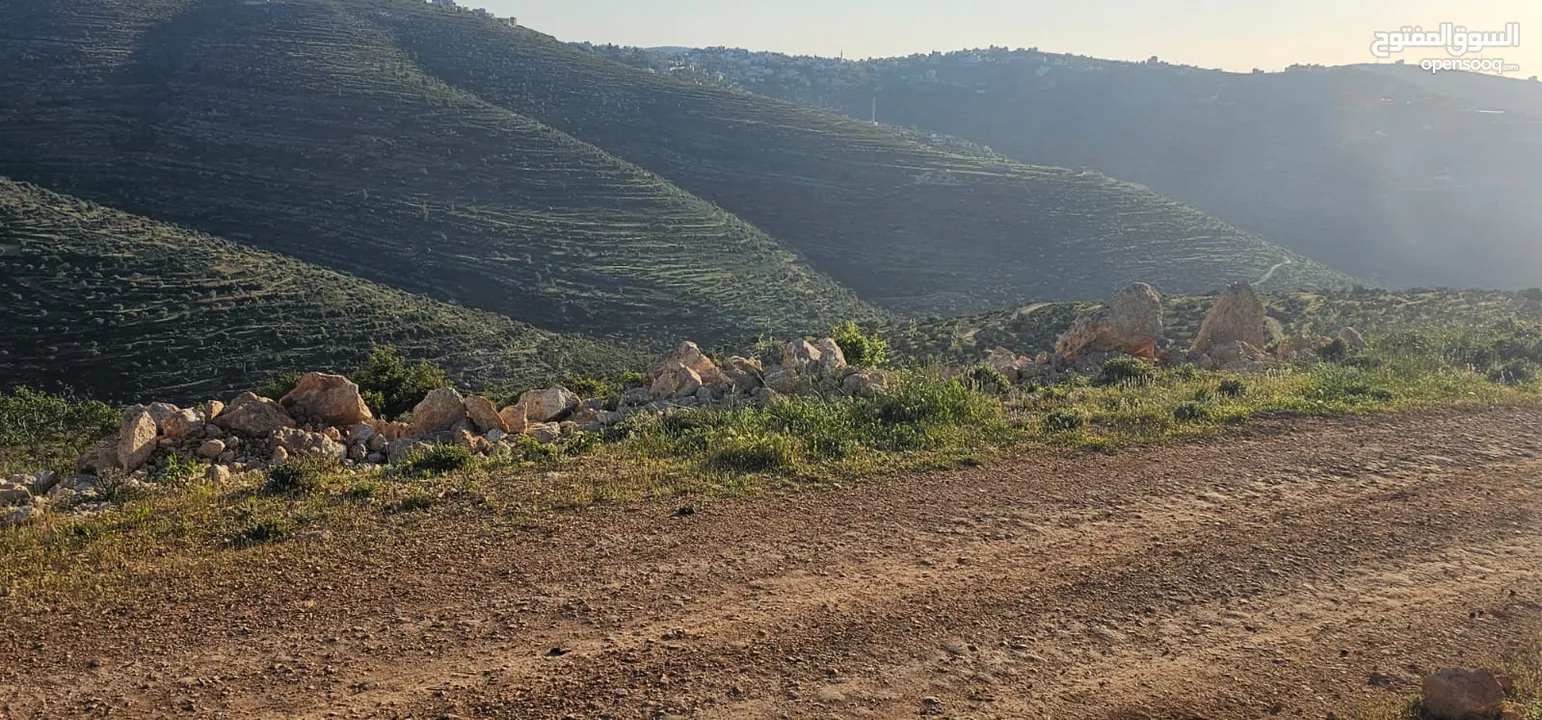 قطعة أرض للبيع من أراضي بلدة سنجل منطقة غرابة، مطلة على الساحل، منطقة A، قوشان طابو سلطة مستقل