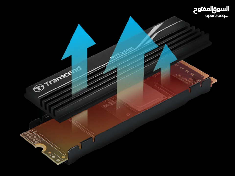 هارديسك داخلي مساحة 1 تيرا بايت نوع : M.2 NVMe ترانسيند Trancsend MTE250H 1TB