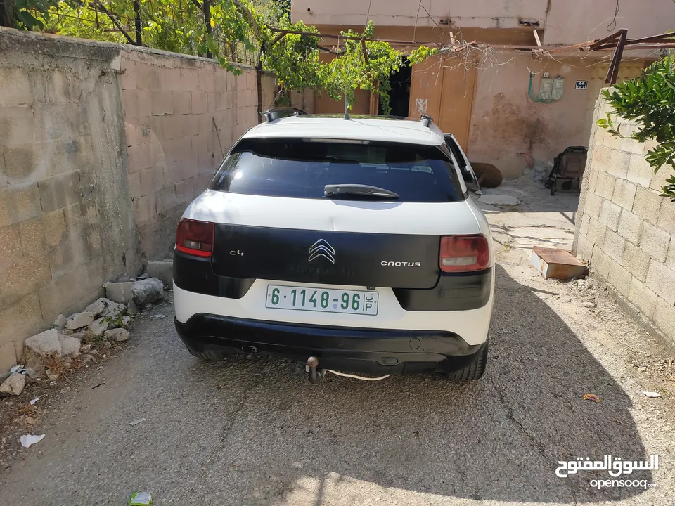 ستروين c4 cactus