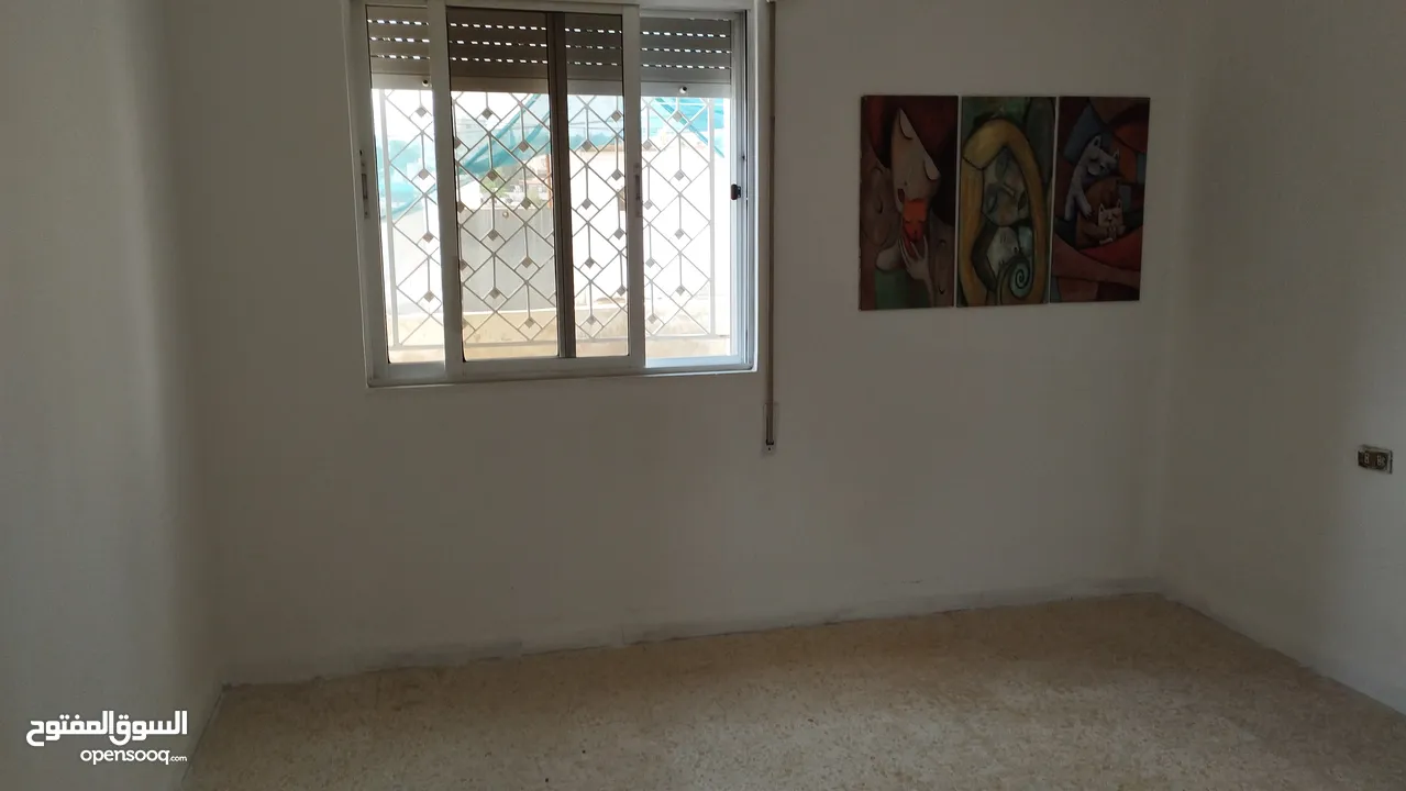 شقة فارغة للايجار