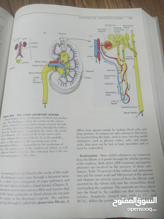 كتاب بعنوان biology